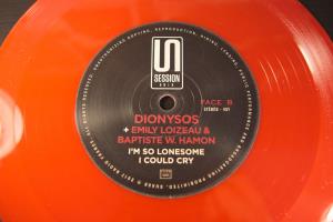The Partisan - I'm So Lonesome I Could Cry (Dionysos - Emily Loizeau  Baptiste W. Hamon) (10)